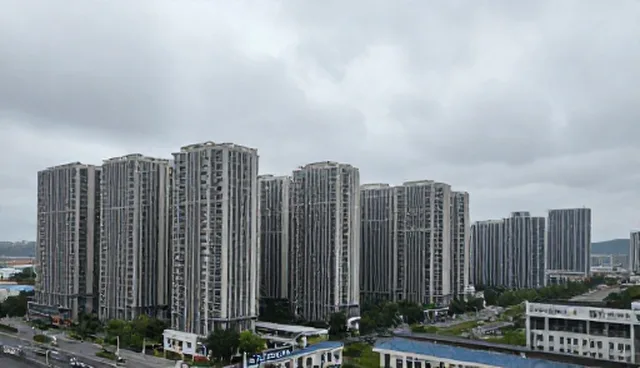 成本差异分析：系统优化套餐的实际应用与处理