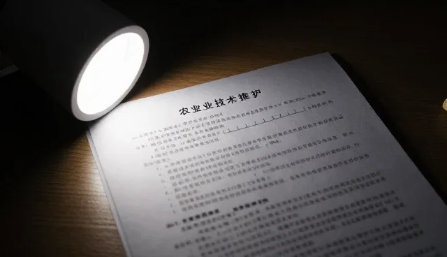 农产品加工中保鲜技术的实际应用与关注点分析