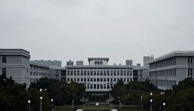 性能优化中团队协作的适用情况与限制