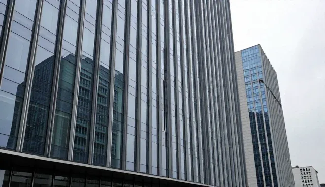 pro翻译中文是什么意思，处理方向需结合行业场景