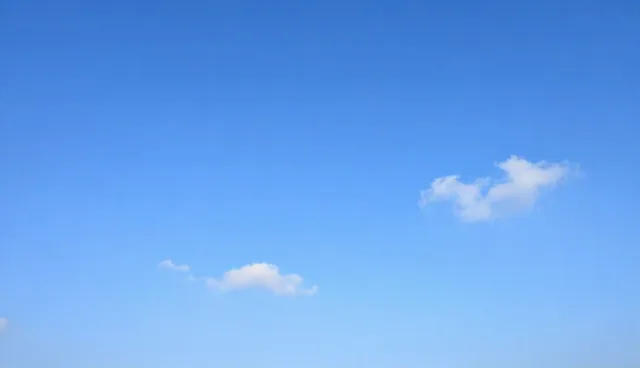 技术转让中适用条件的判断与选择依据