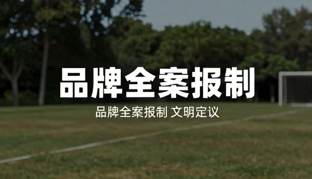 传播效果：如何提升品牌传播的转化率