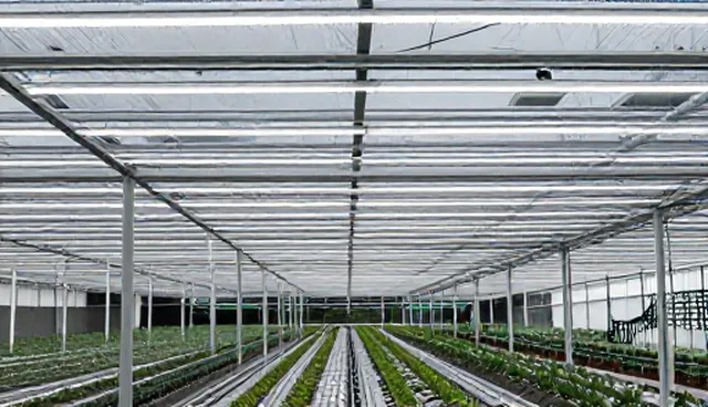 种植技术指导在企业运营中的适用条件分析