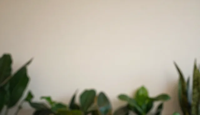 账号代运营常见误区解析及发展趋势洞察