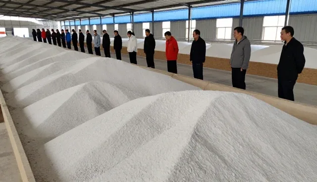 提升种植效率：基地合作的适用条件分析
