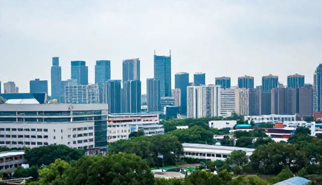 系统稳定：软件维护中的关键策略分析