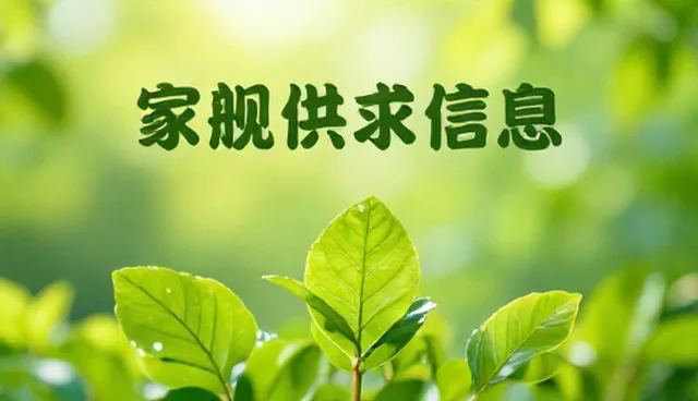 推广效果：常见问题与处理方法分析