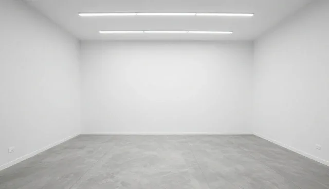 展示优化中选型与布局的双重要点