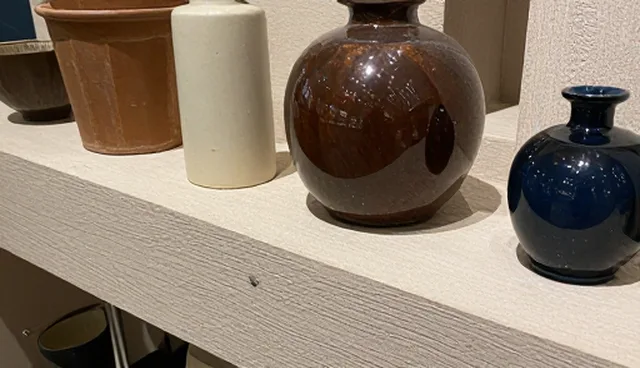 商务配套服务：适用条件与常见问题处理方法