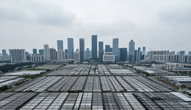 企业策划中效率提升的适用情况与限制