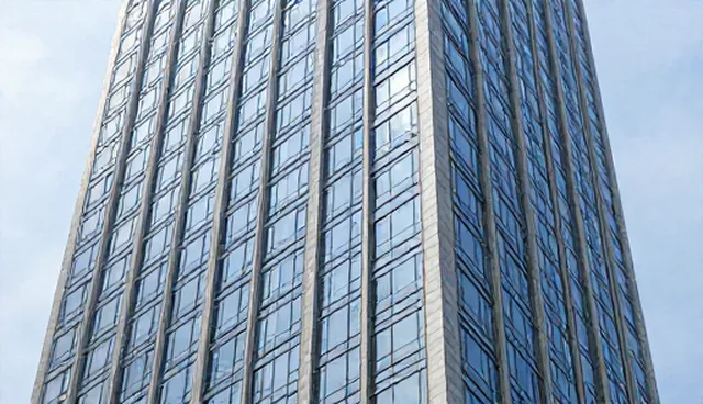 自主组织在管理中的适用条件与选择依据