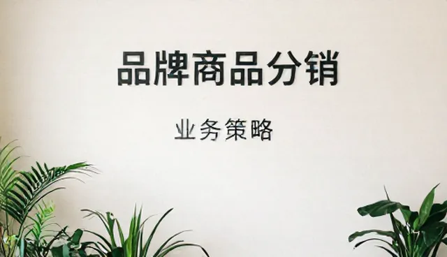 品牌商品分销中的选型误区与应对策略