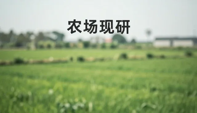 培训效果评估中的理解偏差与实践选择