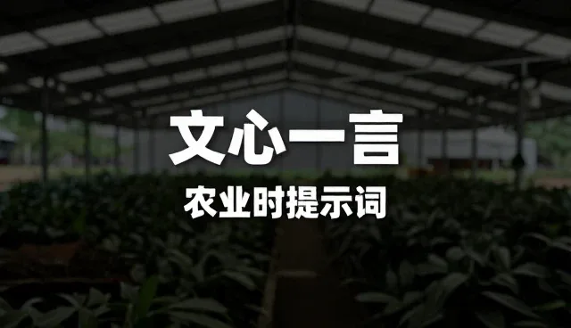 AI提示词教程 国内：开发者选型与使用建议