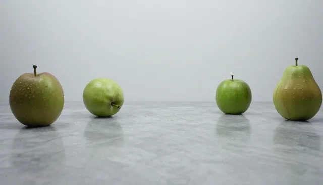 基地合作中的土壤质量如何影响作物产量