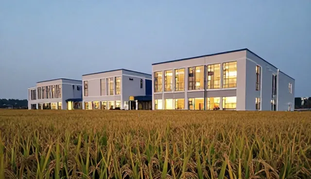 种苗性能差异如何影响基地合作成效