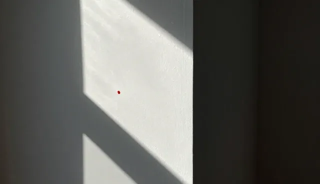 项目策划中选型关注点的常见误区澄清