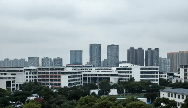 网络工程选型关注点：两种做法的对比与实际取舍
