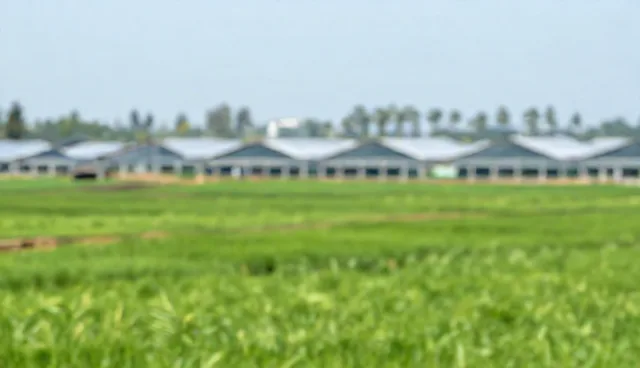 APP短视频运营中的理解误区与正确应用分析