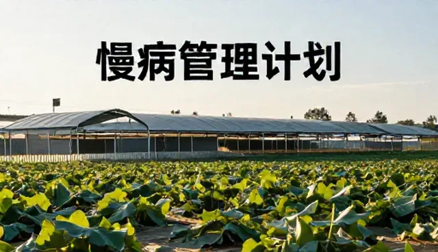 慢病管理计划在病历管理中的实际应用问题