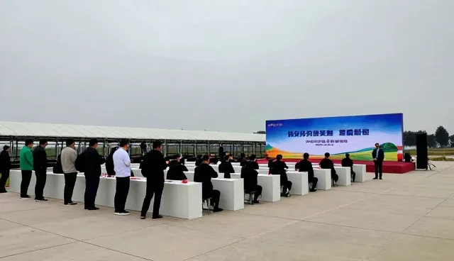 直播运营：新媒体运营的业务发展趋势与适用条件