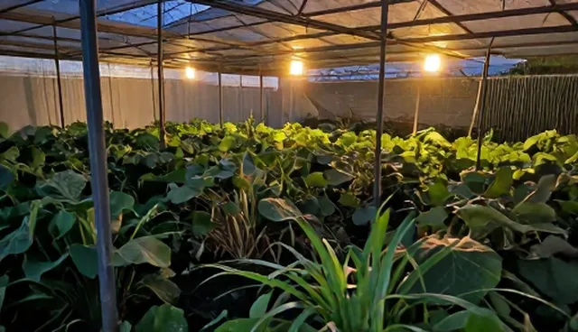 短视频拍摄与剪辑的正确理解与选型关注点