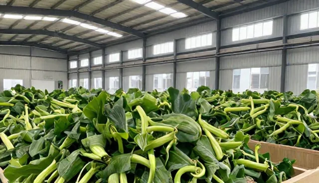 供应链管理中加工产品的风险控制要点与限制