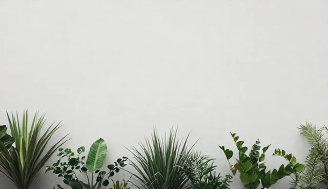 慢病随访中健康评估的常见问题及处理方向