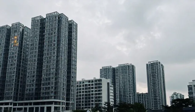理解偏差在软件研发中的影响与应对策略