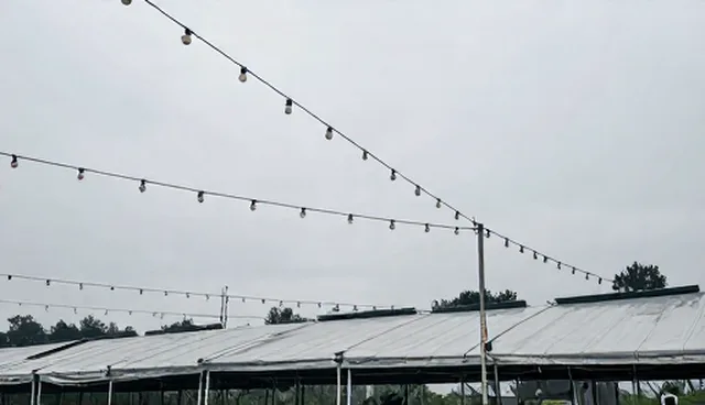 技术转让中方案设计的适用性检查要点解析