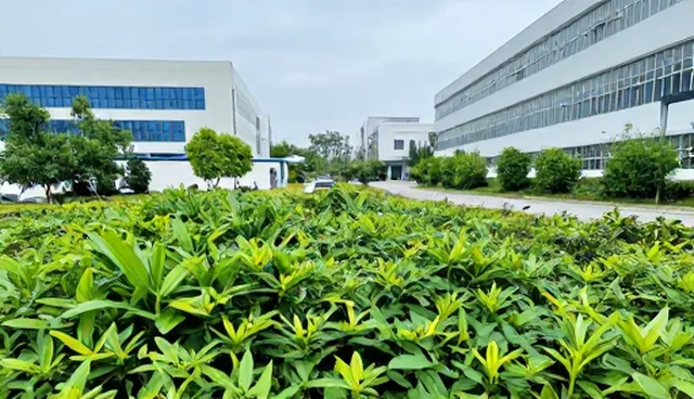 医疗技术推广中的误区分析及检查要点