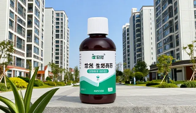 农产品加工推广策略，如何实现定制化解决方案