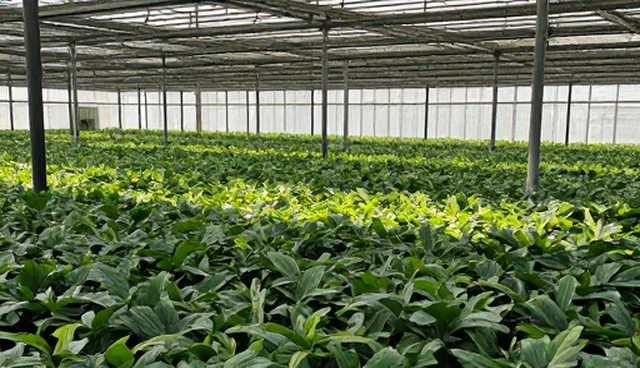 技术咨询如何提升系统性能优化效率