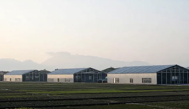 技术支持管理办法中选择依据的实际应用
