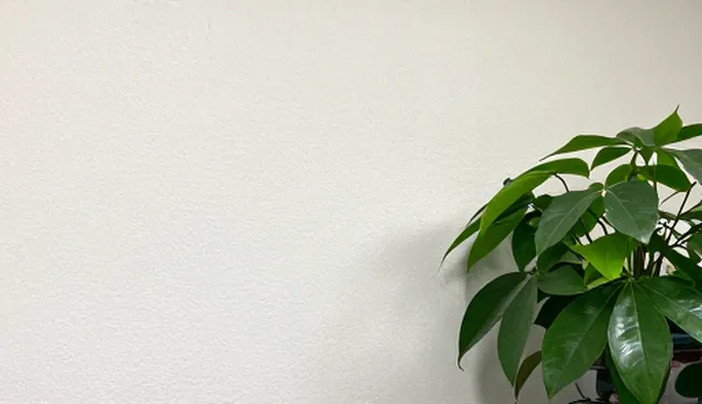 市场调研中会务服务选型的关注点与限制