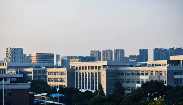 技术培训中的维护策略比较：选型关注点与实际取舍