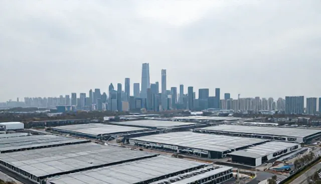 省心信息咨询：性能与适用条件的取舍分析