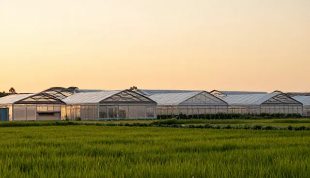 技术咨询在应用场景中的选型建议与分析