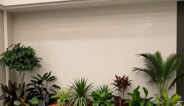 技术咨询选型中的合规管理差异与取舍