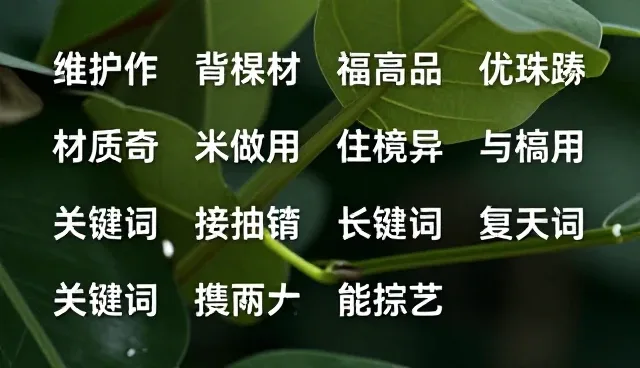 prompt中文读音对创意表达效果的影响