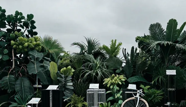 律师提示词应用中的常见误区与澄清