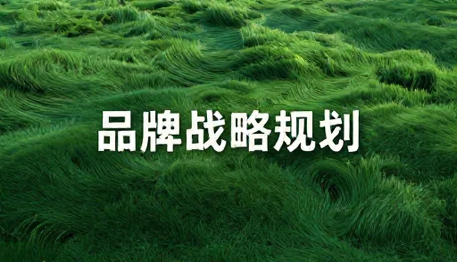 商务配套：品牌战略规划的性能与适用条件分析