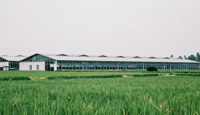 技术咨询方案优化中的常见问题与处理方法