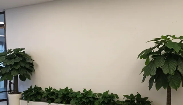 万网怎么样？如何通过SEO优化提升办公空间装修效果？