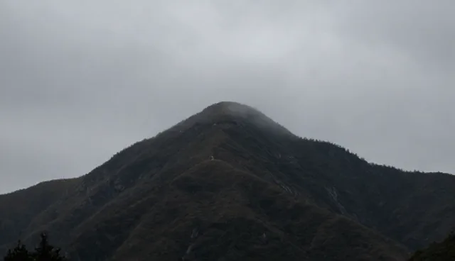 流程优化中信息不对称如何影响项目执行
