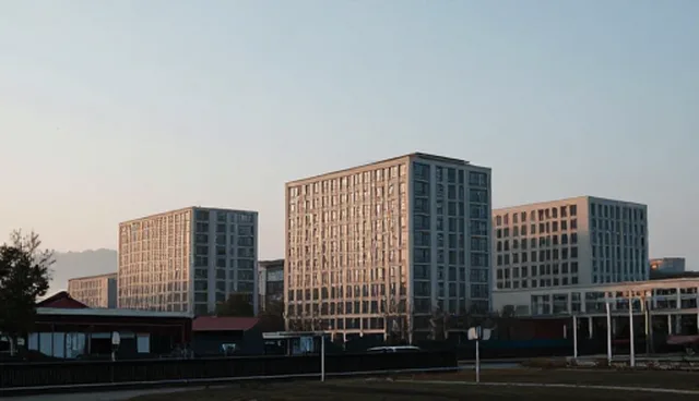 师资培训中常见的误区与使用建议