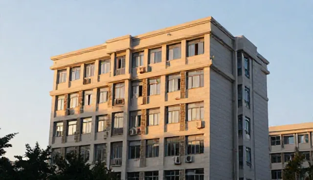 学习效率受个体差异影响的原因分析