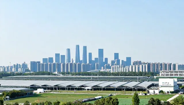 技术成果转化中的性能优化与适用条件分析