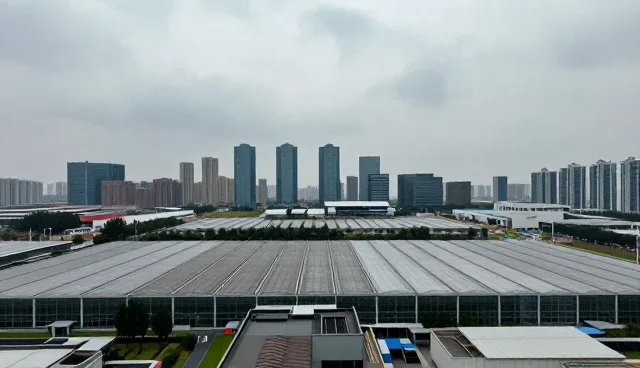 网络较为完善，为何仍存在系统集成服务难题？