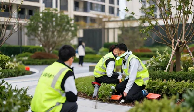 农产品收购：如何选择合适的种植技术指导